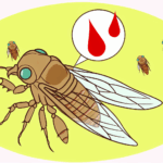 Cırcır böceği alerjisi böcek alerjileri