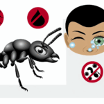 Siyah karinca alerjisi bocek alerjileri
