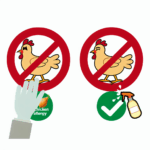 Tavuk alerjisi besin alerjileri