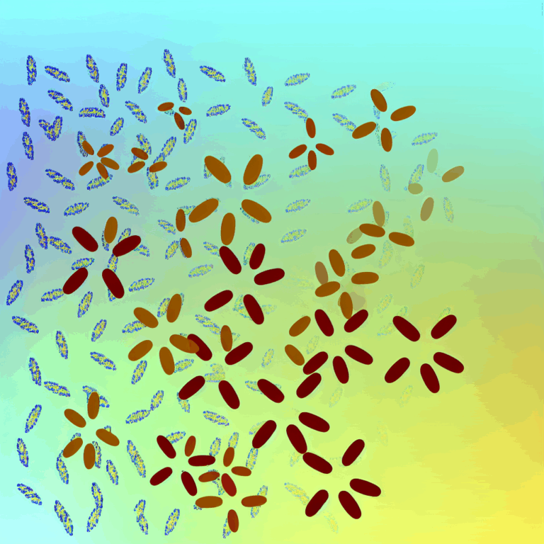 Anason alerjisi besin alerjileri