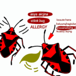 Asya pis kokulu böcek alerjisi böcek alerjileri