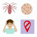 Baş biti alerjisi böcek alerjileri