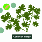 Kişniş alerjisi besin alerjileri