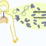 Levotiroksin alerjisi İlaç alerjileri