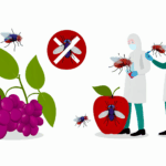 Meyve sineği alerjisi böcek alerjileri