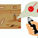 Tahta kurdu alerjisi böcek alerjileri