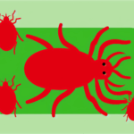 Tahtakurusu alerjisi böcek alerjileri