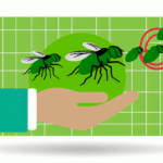 Yeşil Şişe sineği alerjisi böcek alerjileri