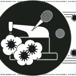 Yün alerjisi temas (kontakt) alerjileri